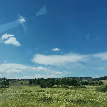 Forest Sky, Sarajevo,