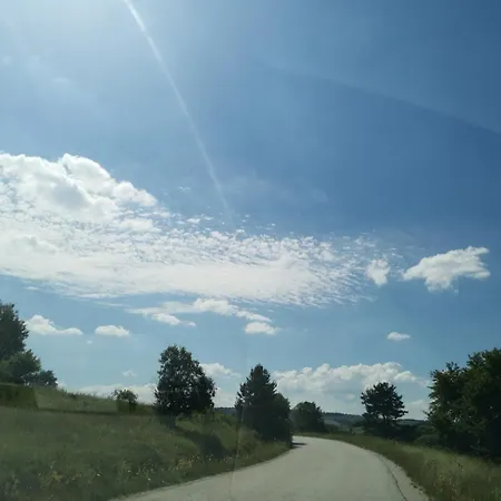 Forest Sky, Sarajevo, *
